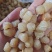 干贝，淡干，盐干，都有现货！大量现货批发，薄利多销