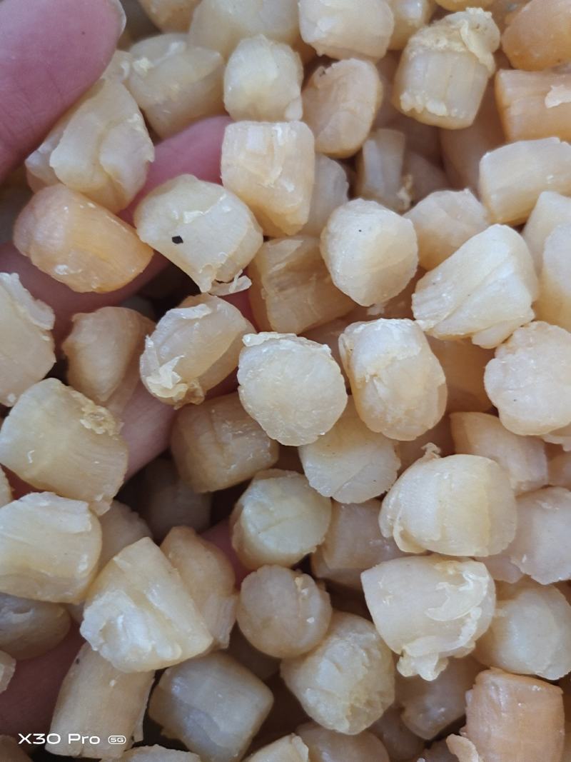 干贝，淡干，盐干，都有现货！大量现货批发，薄利多销