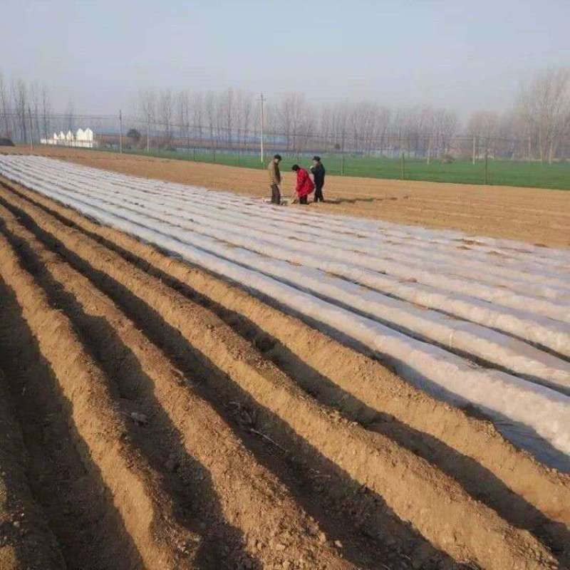 地膜机铺膜机厂家直销包邮【覆膜机农用手拉式盖地膜工具