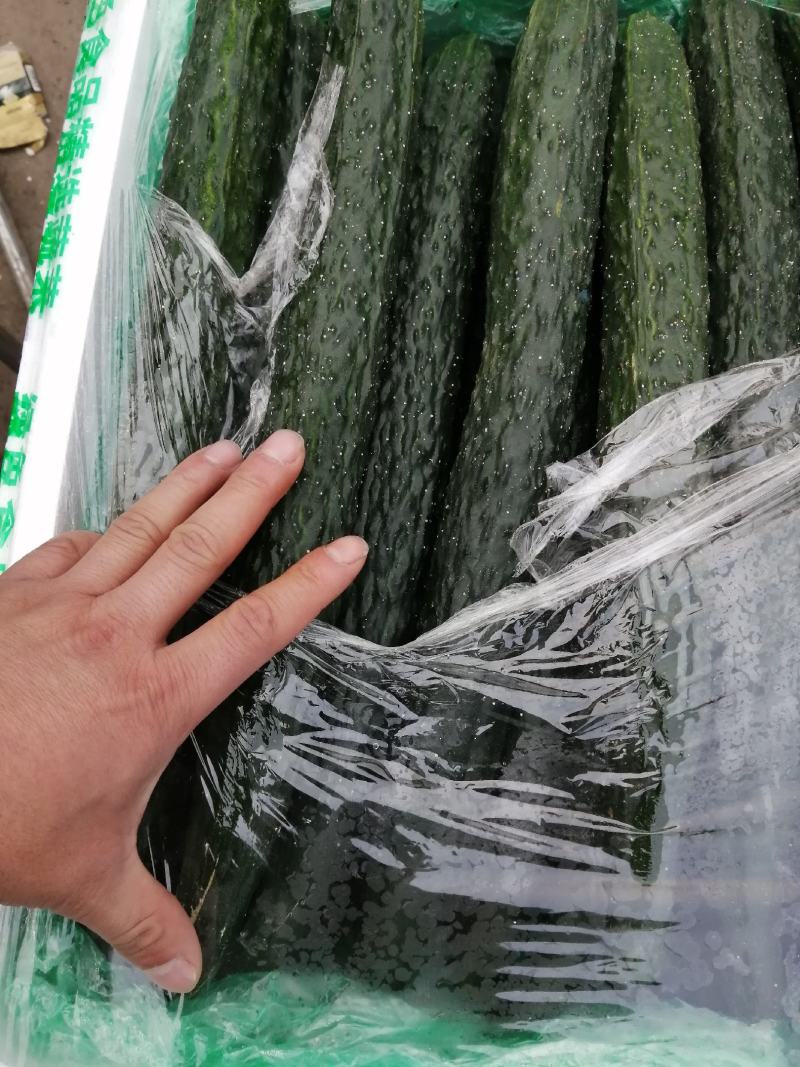 诚信经营各种精品蔬菜
