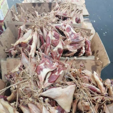 腊鸭腿，现货供应，口感好，专做回头客的好产品