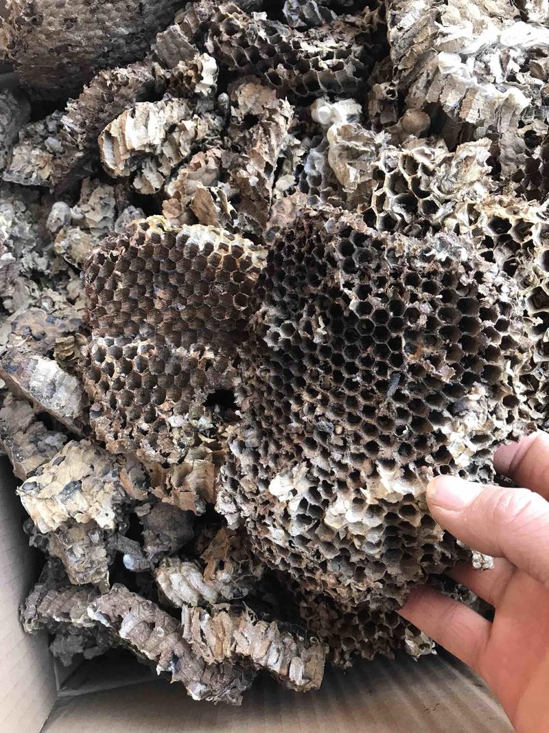 蜂房马蜂窝野蜂房干净无杂质