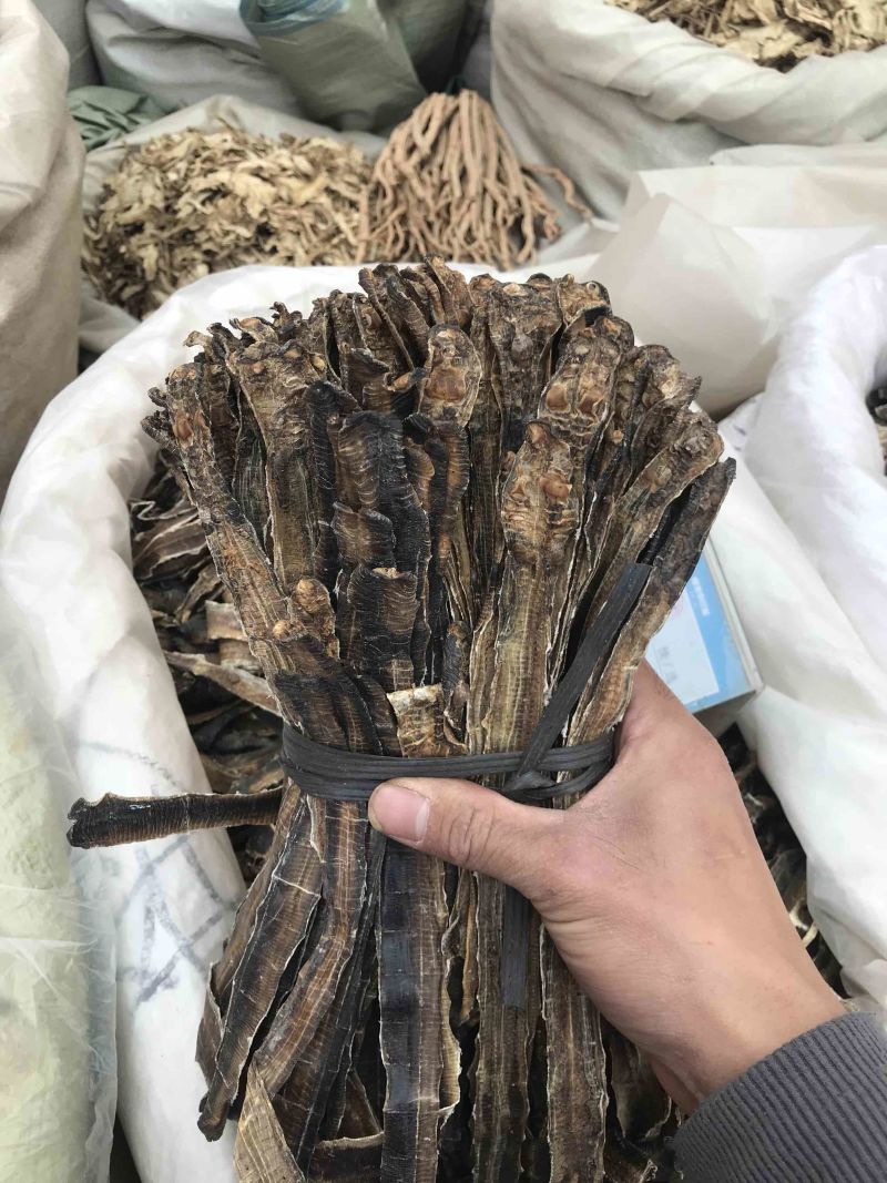 地龙无硫半开全开地龙干净无渣可打粉
