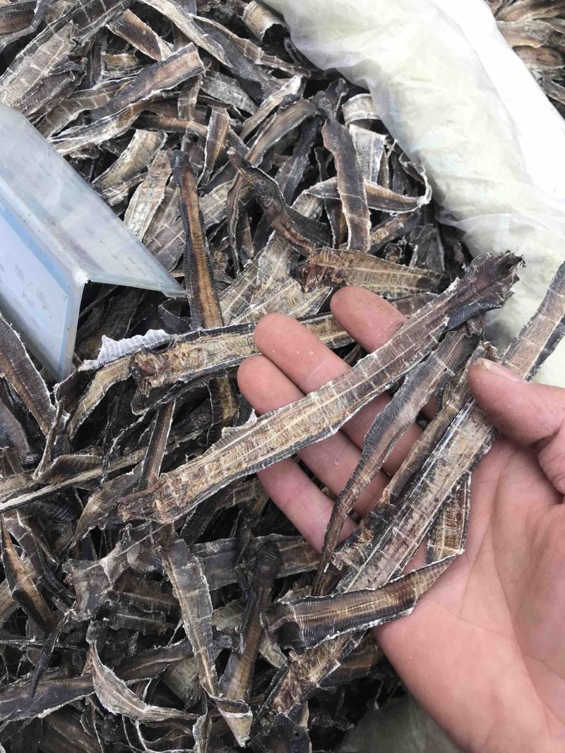 地龙无硫半开全开地龙干净无渣可打粉