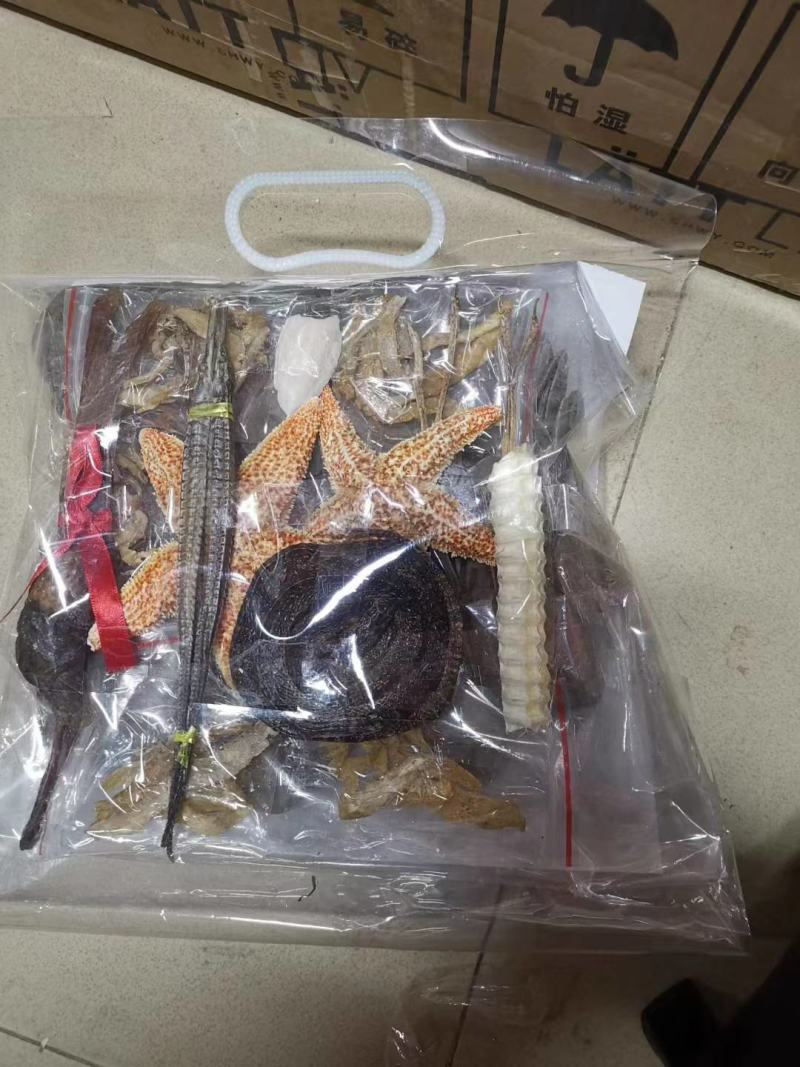 实图拍摄六角大海龙（300头），可泡酒，可炖汤。