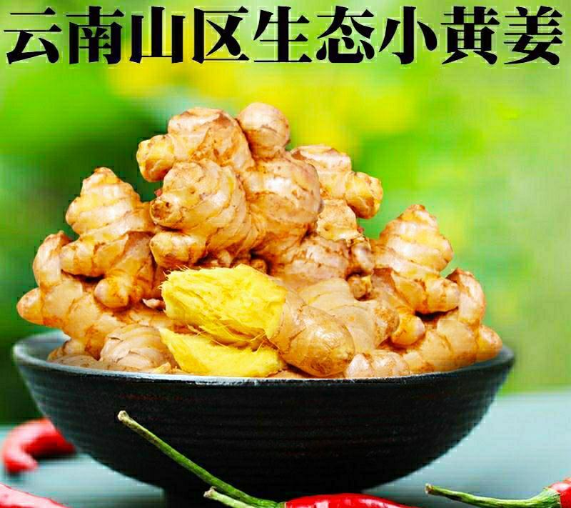 云南小黄姜姜味浓郁香辣多汁美味保质保量5斤1件包邮