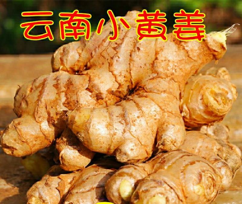 云南小黄姜姜味浓郁香辣多汁美味保质保量5斤1件包邮