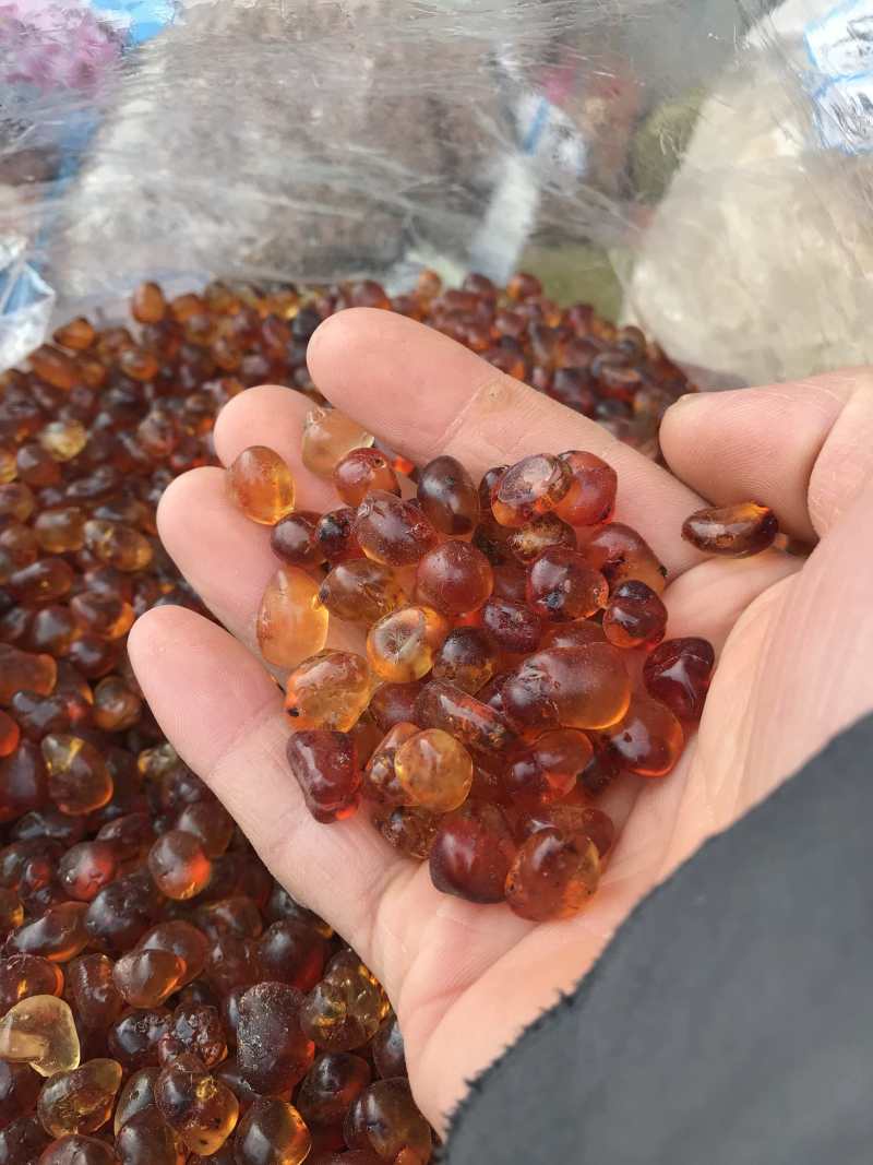 源产地精品桃胶产地直发无硫无熏蒸一手货源