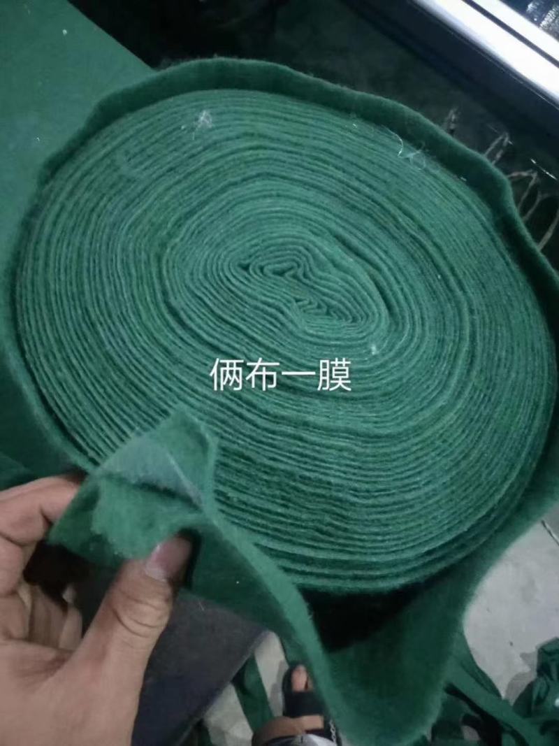 厂家供应包树布裹树布植物养护带缠绕树木裹树布