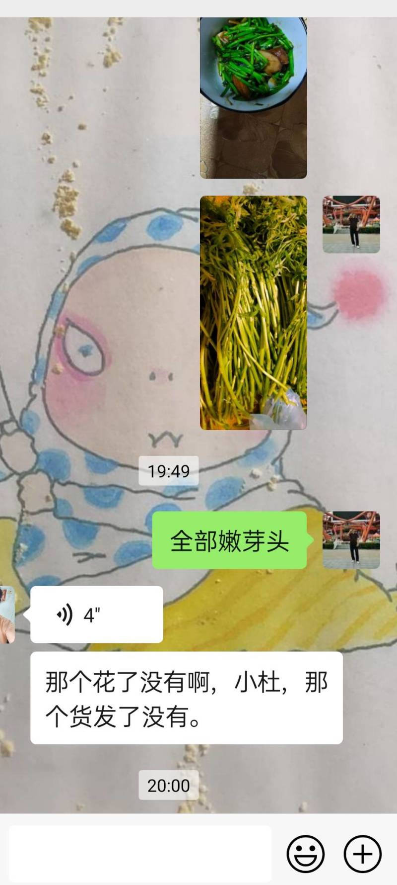 芦蒿新鲜芦蒿全部嫩芽头长年供货