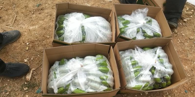 高山香蕉甜而不腻漂亮