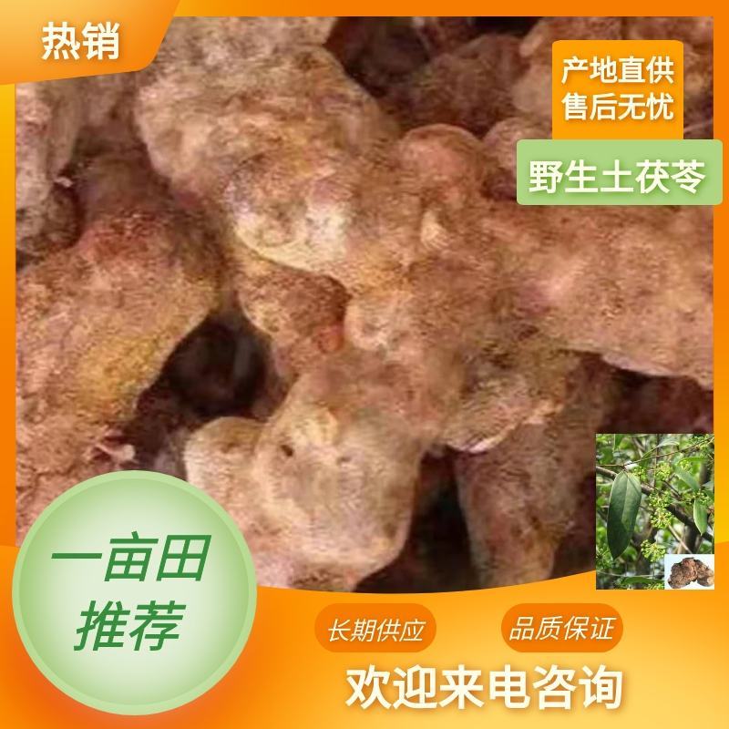 长期供应土茯苓量大从优质量保证产地直发