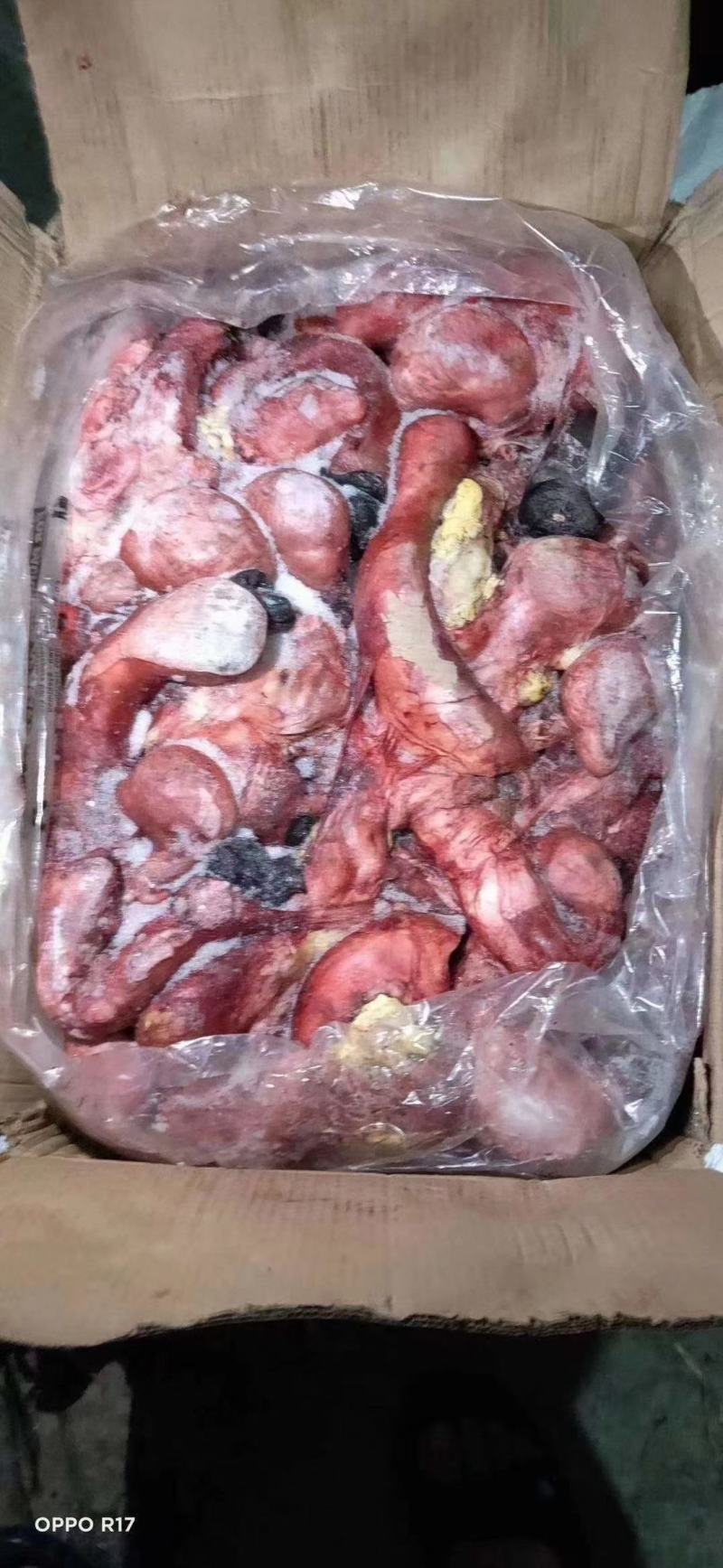 鲜驴肉马肉大量现货供应
