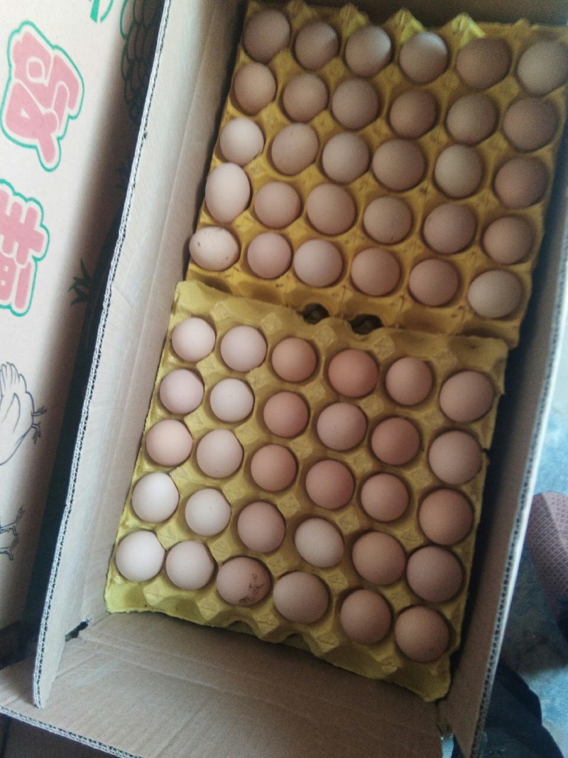 农家柴鸡蛋乌鸡蛋销售