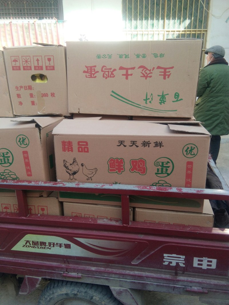 农家柴鸡蛋乌鸡蛋销售
