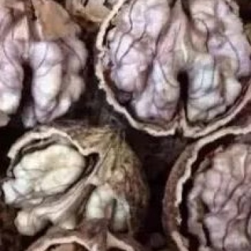 漾濞紫米核桃干果