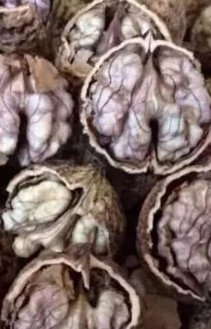 漾濞紫米核桃干果