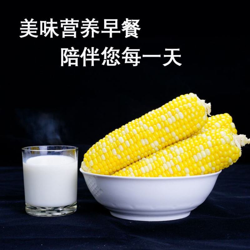 水果玉米新鲜现摘应季甜玉米棒早餐生吃非云南花糯玉米笨