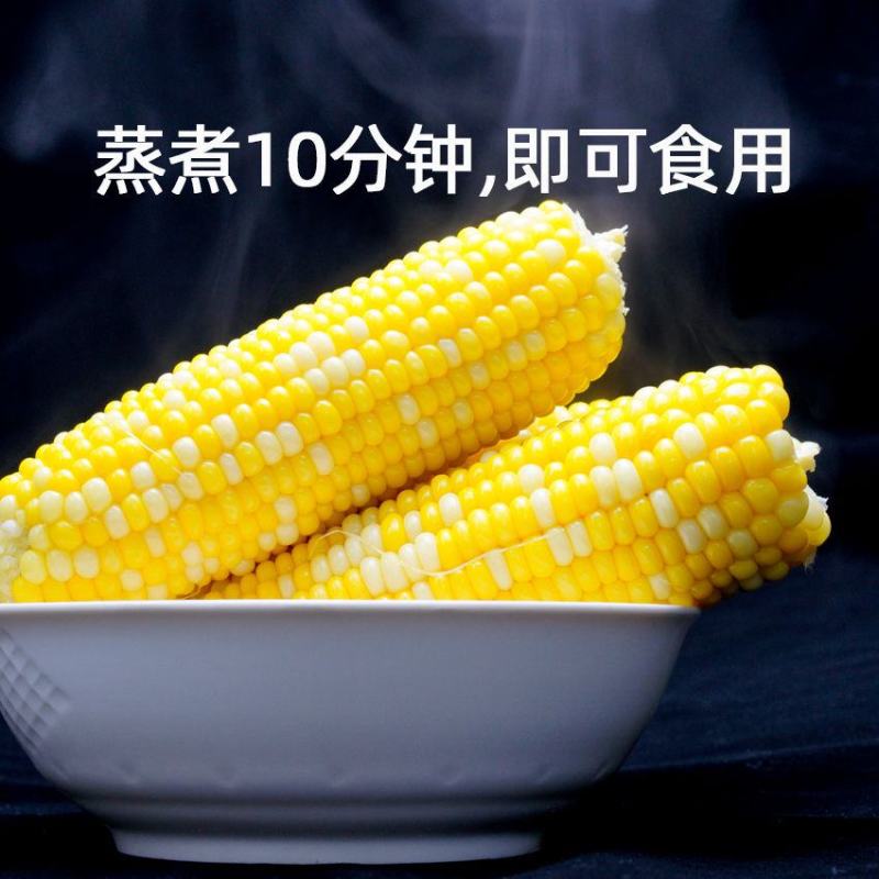 水果玉米新鲜现摘应季甜玉米棒早餐生吃非云南花糯玉米笨