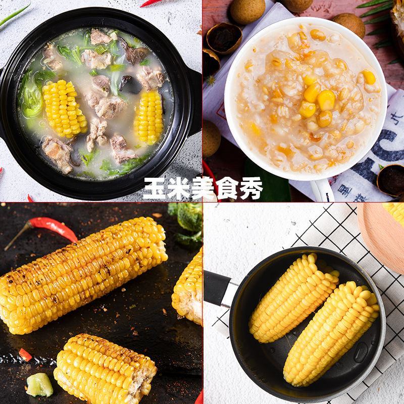 水果玉米新鲜现摘应季甜玉米棒早餐生吃非云南花糯玉米笨