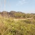 山地出租，500亩，矮山坡，可种植各类果树，桉树等