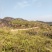山地出租，500亩，矮山坡，可种植各类果树，桉树等