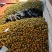 广西优质脆皮金桔，，专业代办，代收，代发。