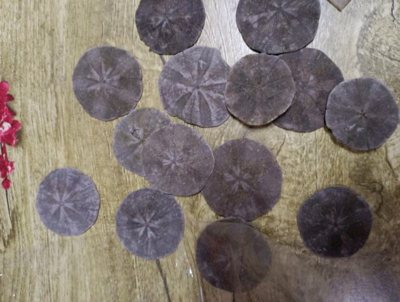 实图拍摄北海特色袋装泡酒料海宝量大从优