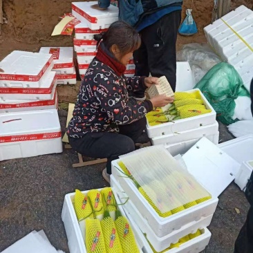 羊角蜜甜瓜，羊角脆，博羊系列，绿宝，各色圣女果，能开发票
