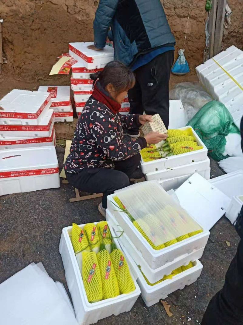 羊角蜜甜瓜，羊角脆，博羊系列，绿宝，各色圣女果，能开发票