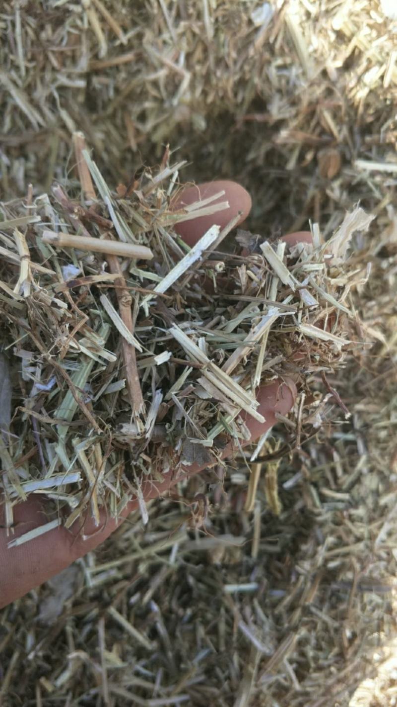 优质花生秧牛羊草育肥中小草