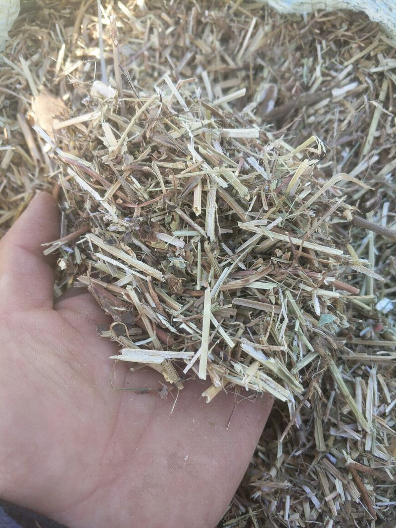 优质花生秧牛羊草育肥中小草