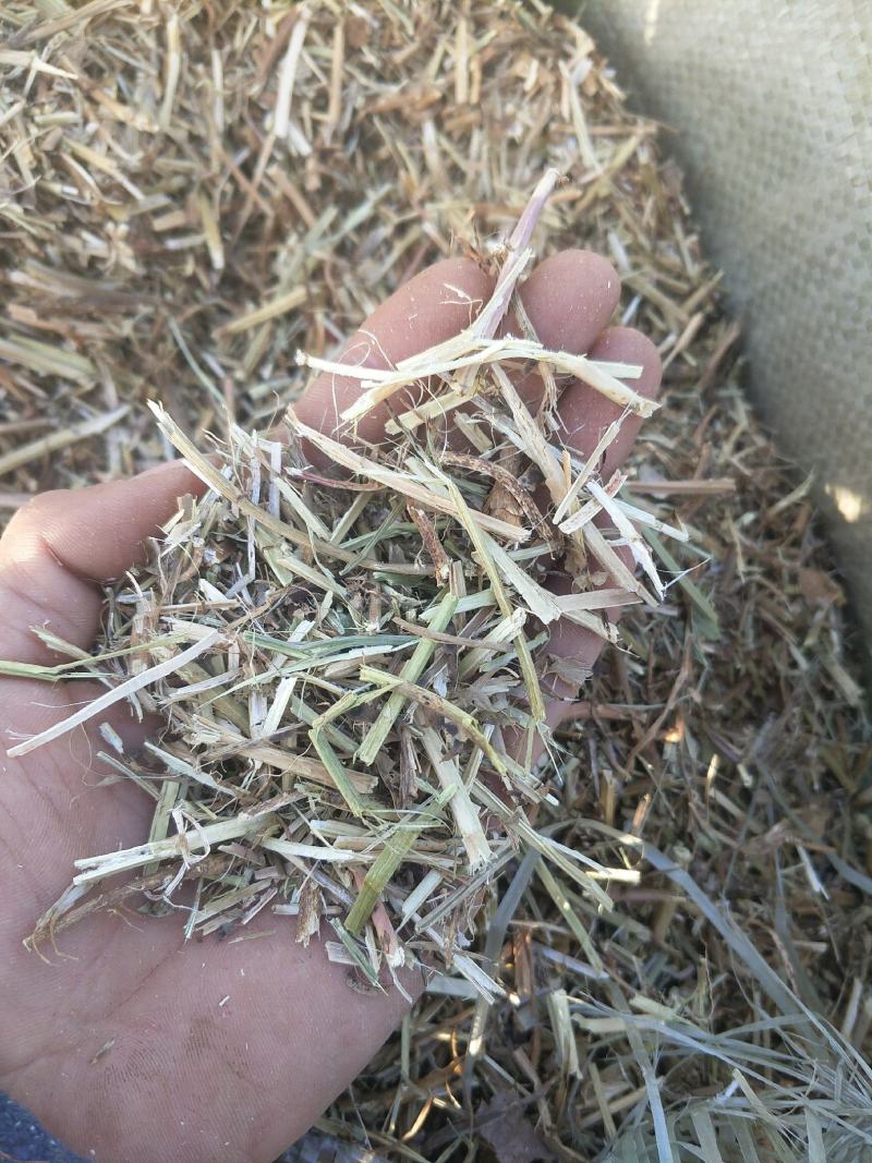 优质花生秧牛羊草育肥中小草