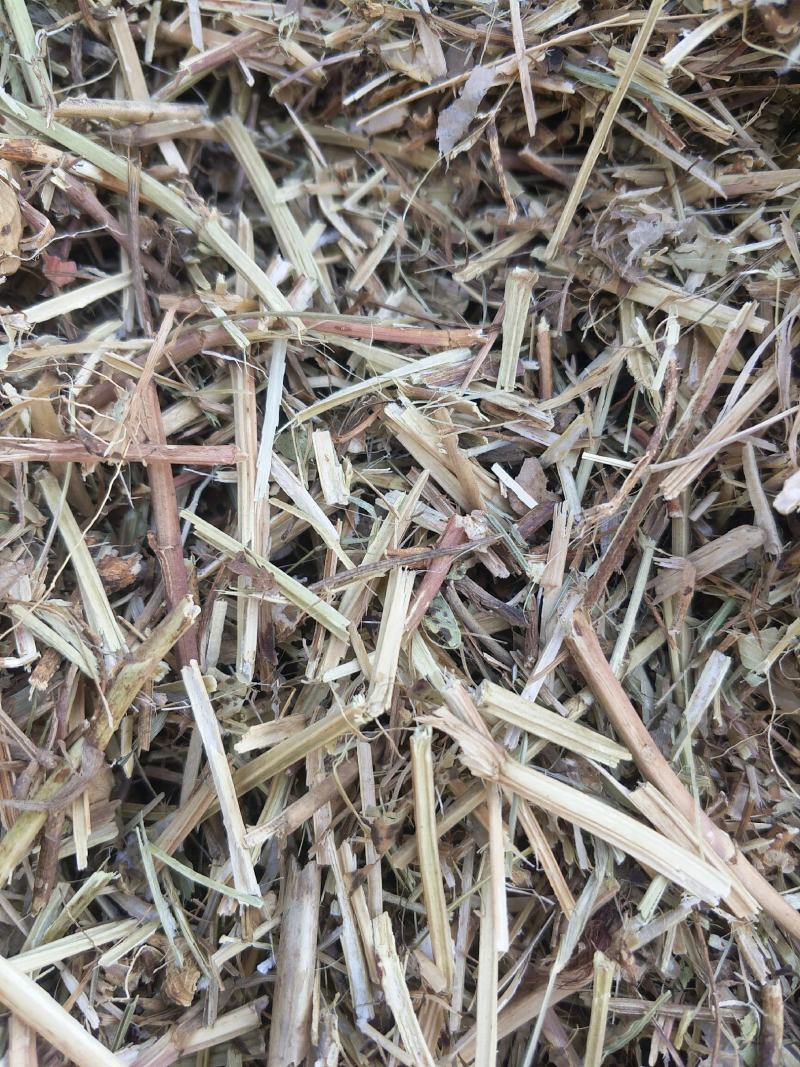 优质花生秧牛羊草育肥中小草