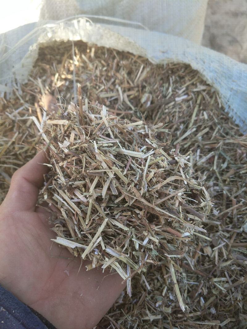 优质花生秧牛羊草育肥中小草