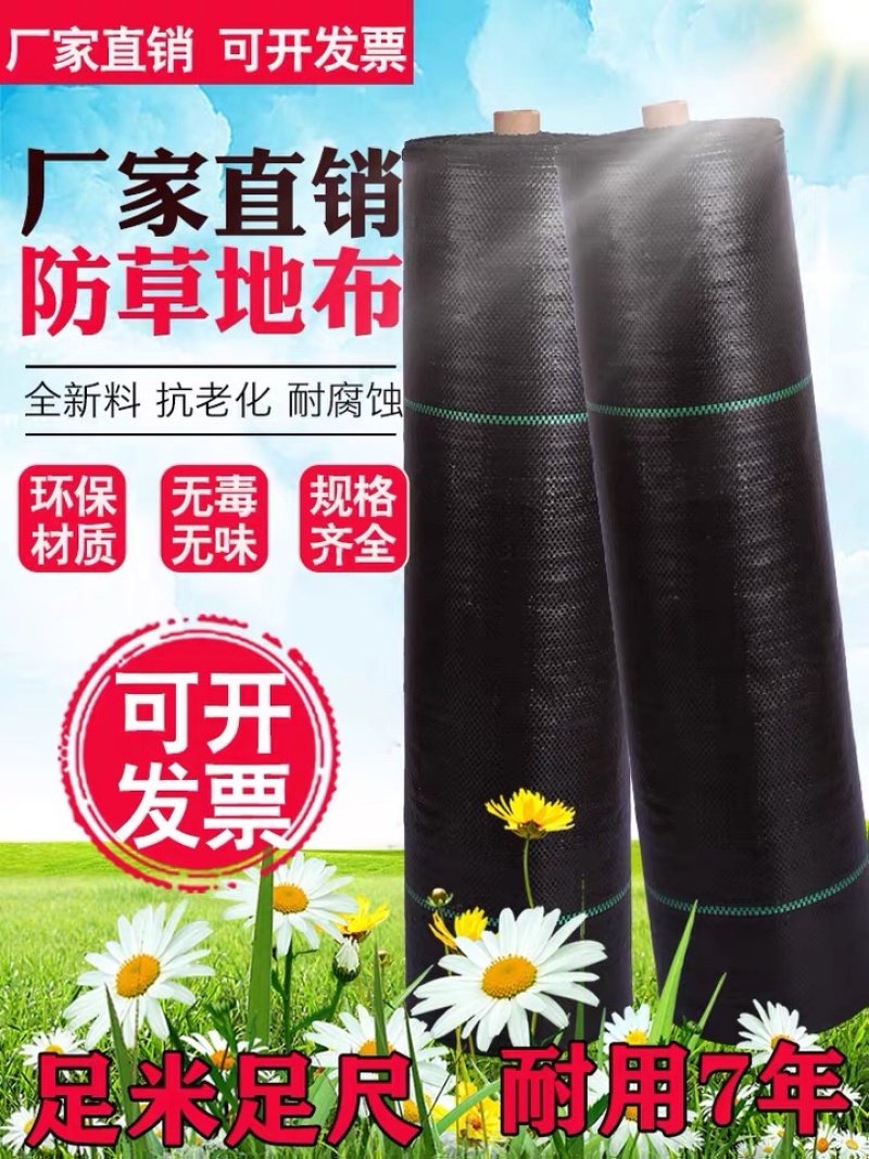 除草布防暴晒PEPP全新料透水透气防草地布