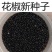 花椒种子山椒红椒麻椒大红袍花椒种子川花椒树刺篱笆