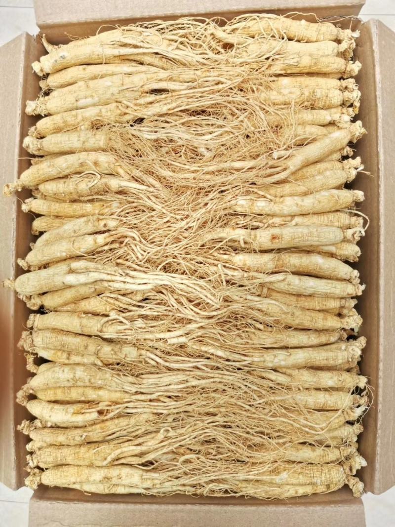 长白山精品白参（生晒白干参）足干白条参干人参全须