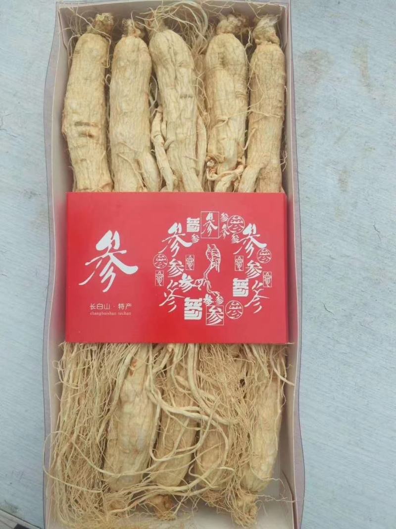 长白山精品白参（生晒白干参）足干白条参干人参全须