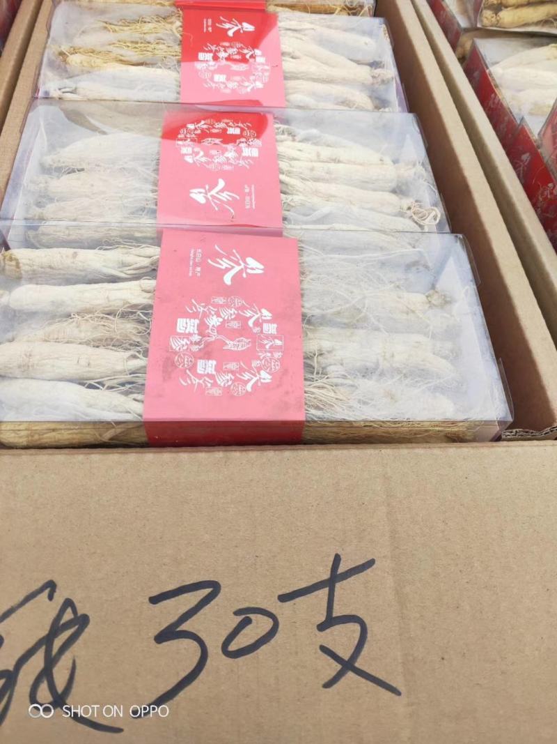 长白山精品白参（生晒白干参）足干白条参干人参全须