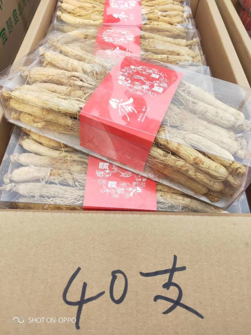 长白山精品白参（生晒白干参）足干白条参干人参全须