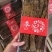 长白山无糖红参批发（干品）红参直条全须，