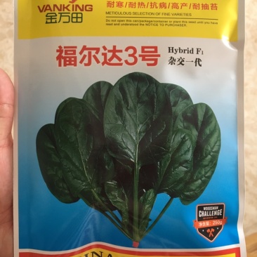 福尔达3号，进口菠菜圆叶菠菜黑叶片菠菜种子芽率超国标