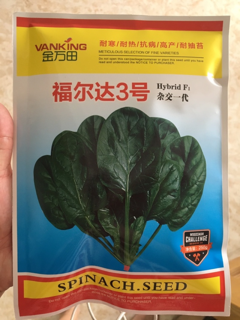 福尔达3号，进口菠菜圆叶菠菜黑叶片菠菜种子芽率超国标