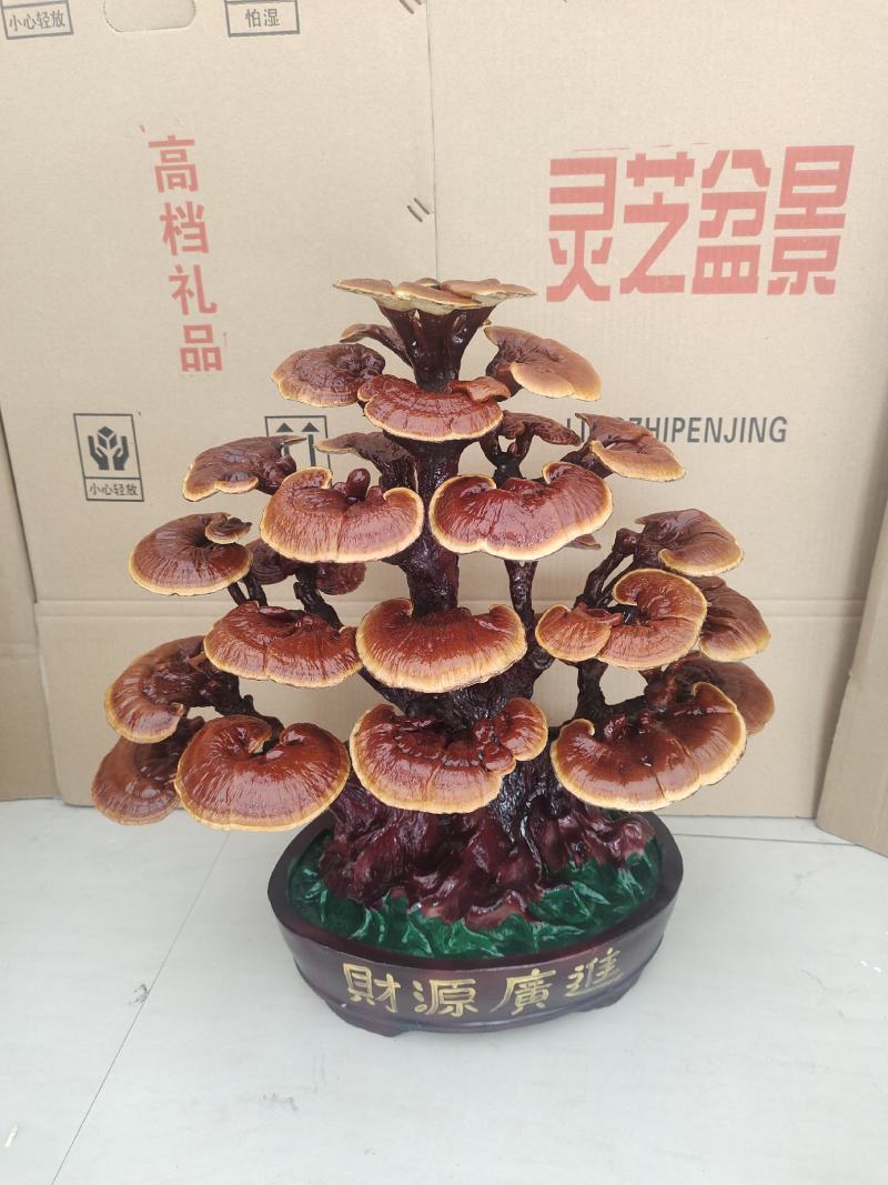 灵芝盆景，基地供应，一手货源，长期供应大小棵样式齐全