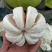 正宗广东梅州沙田柚产地直销批发零售果品纯正。专业代办