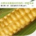 当季新鲜现摘广东生吃水果甜玉米芯棒子新鲜批发包邮。