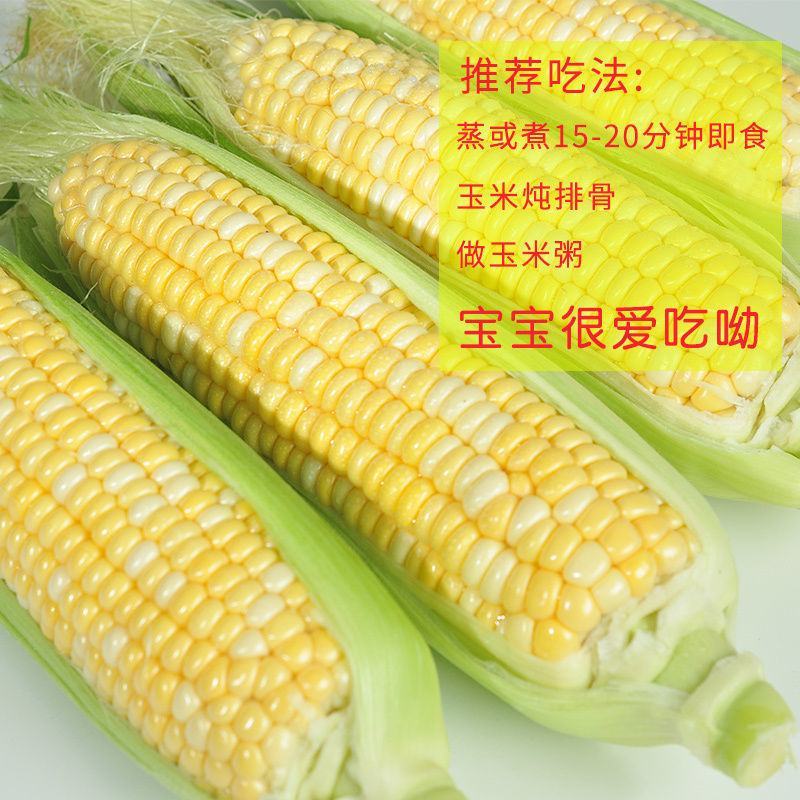 当季新鲜现摘广东生吃水果甜玉米芯棒子新鲜批发包邮。