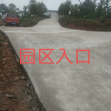 四川绵阳梓潼县盈利中果园（宗合用地)转让，欢迎洽谈。