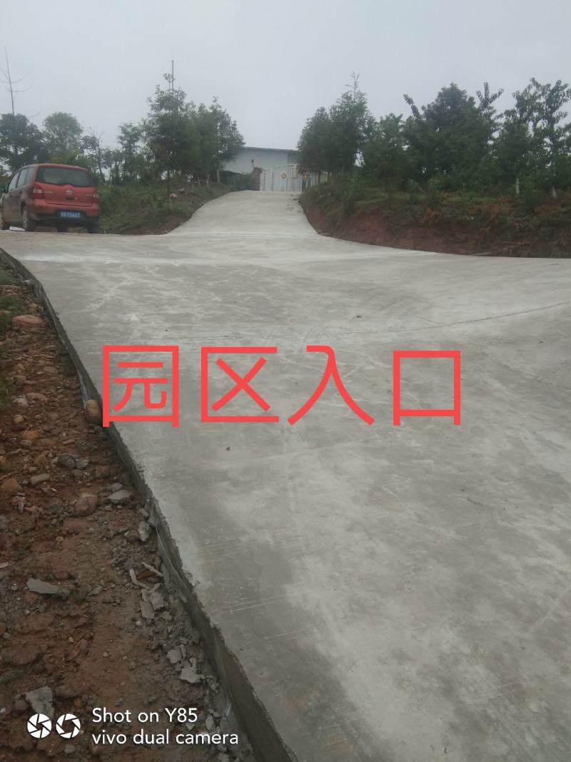 四川绵阳梓潼县盈利中果园（宗合用地)转让，欢迎洽谈。